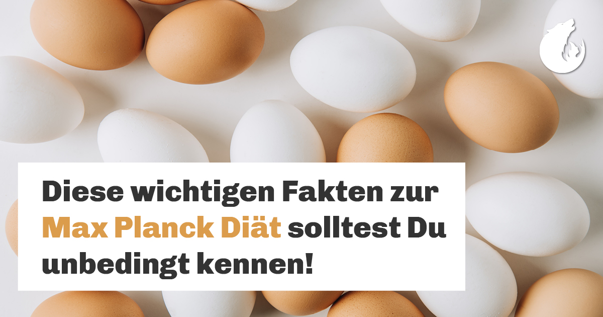 Max Planck Diat Diese Wichtigen Fakten Solltest Du Kennen