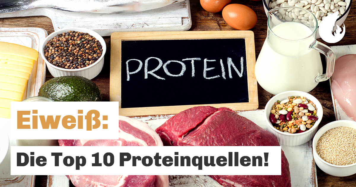 Eiweiß Die Top 10 Proteinquellen → LowCarb Camp®
