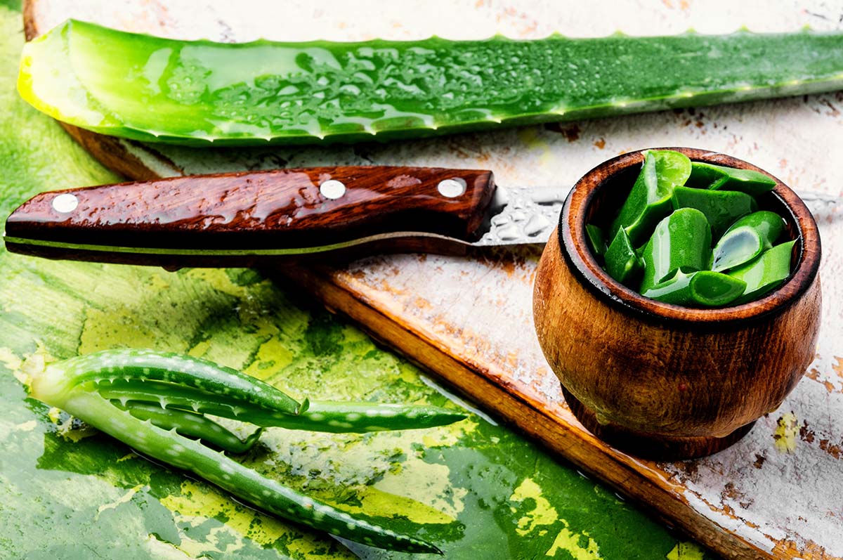 Aloe Vera: Wirkung und Verwendung der Wunderpflanze